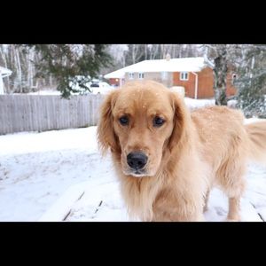 Meet your Posher, Ane